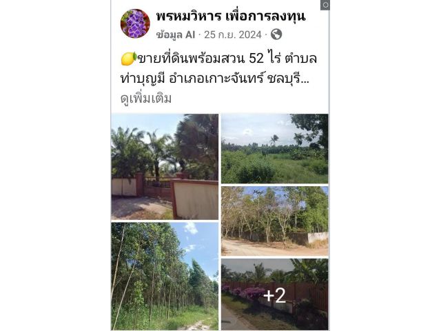 ขายที่ดินพร้อมสวน 52 ไร่ ตำบลท่าบุญมี อำเภอเกาะจันทร์ ชลบุรี