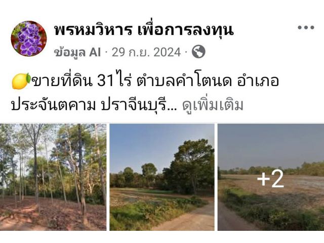 ขายที่ดิน 31ไร่ ตำบลคำโตนด อำเภอประจันตคาม ปราจีนบุรี