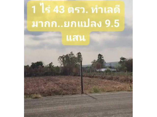 ขายด่วน!! ที่ดิน 1 ไร่ 43 ตร.ว. บ้านหนองนกเขา ต.นาฝาย อ.เมือง จ.ชัยภูมิ