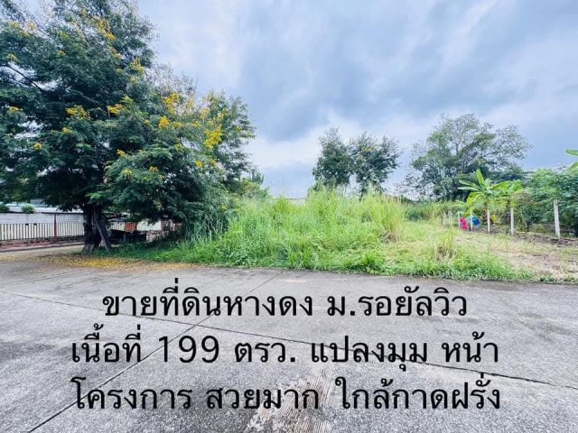 ขายที่ดินในโครงการรอยัลวิลล์ติดถนนสองด้านโฉนด