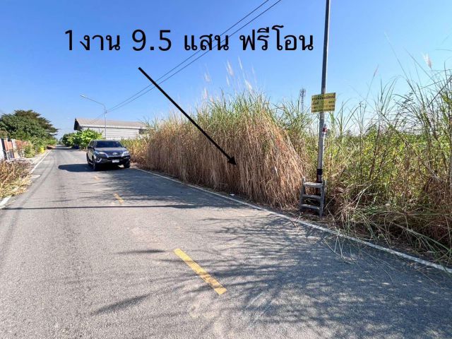 ที่ดินเปล่า 1 งาน 9.5 แสนฟรีโอน คลอง 8 ธัญบุรี