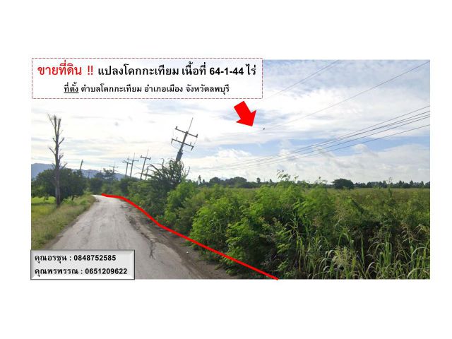 พร้อมโอน!! ที่ดิน ต.โคกกะเทียม อ.เมือง จ.ลพบุรี เนื้อที่ 64-1-44 ไร่