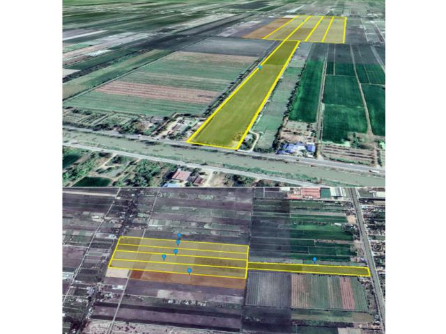 ที่ดินโฉนด 290 ไร่ ตำบลพืชอุดม อำเภอลำลูกกา จังหวัดปทุมธานี