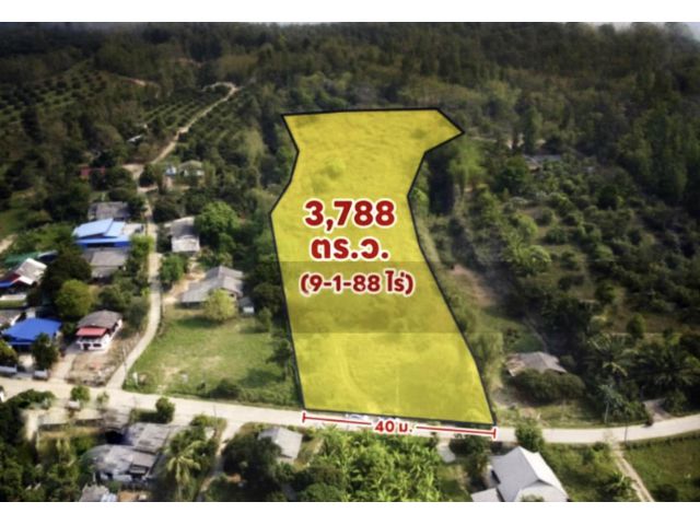 Land For Sale ขายที่ดิน อ.แม่แตง เชียงใหม่