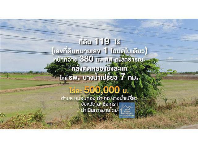 ที่ดิน 119 ไร่ ๆ ละ 500,000 บาท หน้ากว้าง 380 ม.ติด ถ.สาธารณะ หลังติดคลองบึงสะแก เหมาะ สำหรับธุรกิจทางการเกษตรหรือจัดสรร