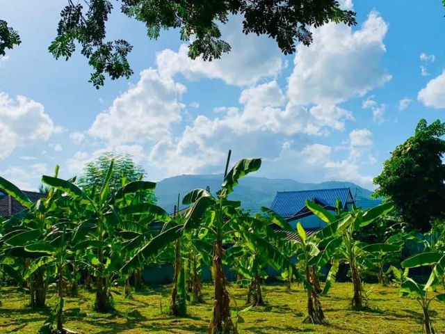 ขายที่ดินตำบลสุเทพบ้านช่างทองเห็นวิวดอยสุเทพใกล้เมือง