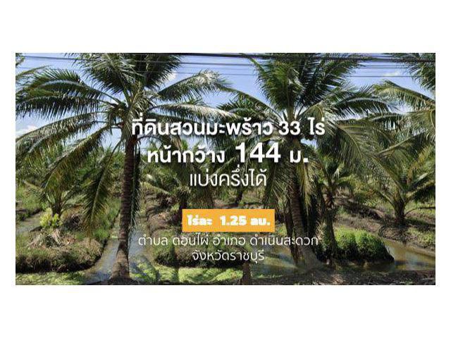 สวนมะพร้าวน้ำหอม (ให้ผลผลิตแล้ว) 33 ไร่ 2 งาน ไร่ละ 1.25 ลบ. ((แบ่งขาย 16.5 ไร่ได้)) หน้ากว้าง 144 ม. ติด ถ.สาธารณะ