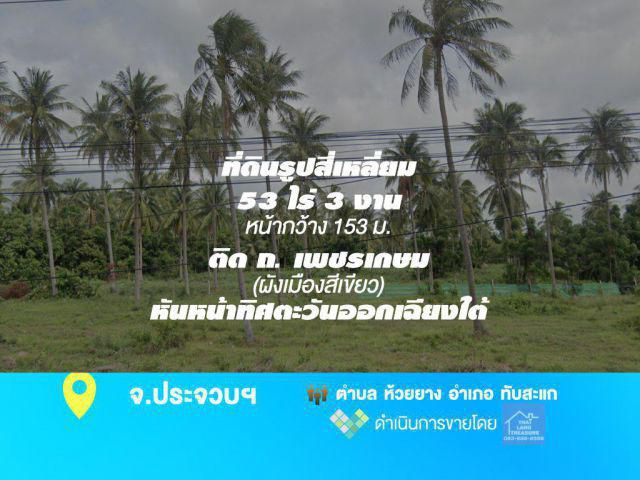 ที่ดินทำเลทอง 53 ไร่ 3 งาน  (หน้ากว้าง 153 ม.) ติด ถ.เพชรเกษม ผังเมืองสีเขียว ตรงข้ามหาดวนกร อ.ทับสะแก จ.ประจวบคีรีขันธ์