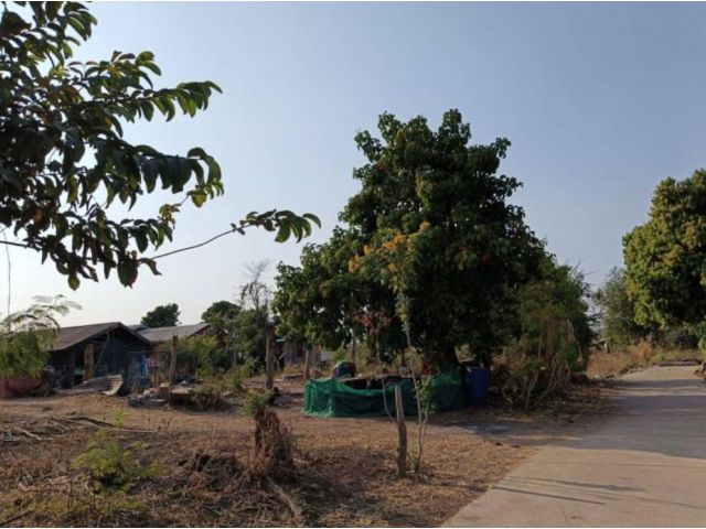 ขายที่ดินทำบ้านถมแล้ว มีน้ำ ไฟฟ้า ติดถนนคอนกรีต