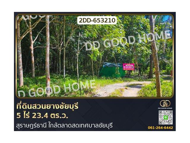 ที่ดินสวนยางชัยบุรี 5 ไร่ 23.4 ตร.ว. สุราษฎร์ธานี ใกล้ตลาดสดเทศบาลชัยบุรี