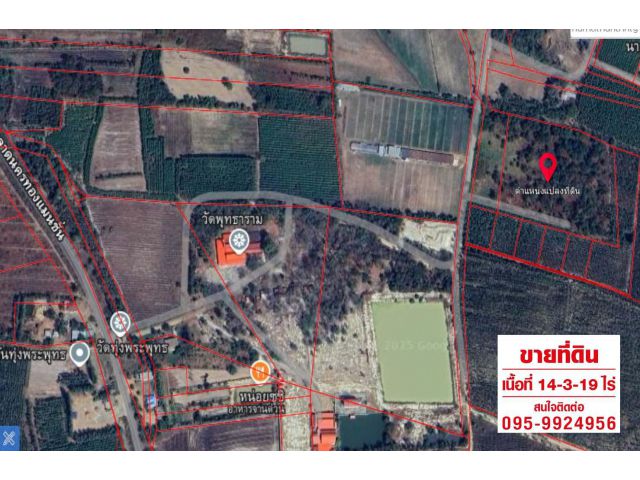 ขายที่ดิน 14-3-19 ไร่