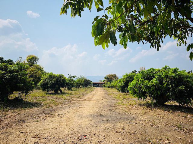 ที่ดินปลูกบ้านลี้ใกล้รอยพระพุทธบาทช้างเอราวัณ 5 ไร่ 900,000