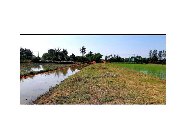 ที่ดิน 2 ไร่ หนองสาหร่าย ดอนเจดีย์ สุพรรณบุรี