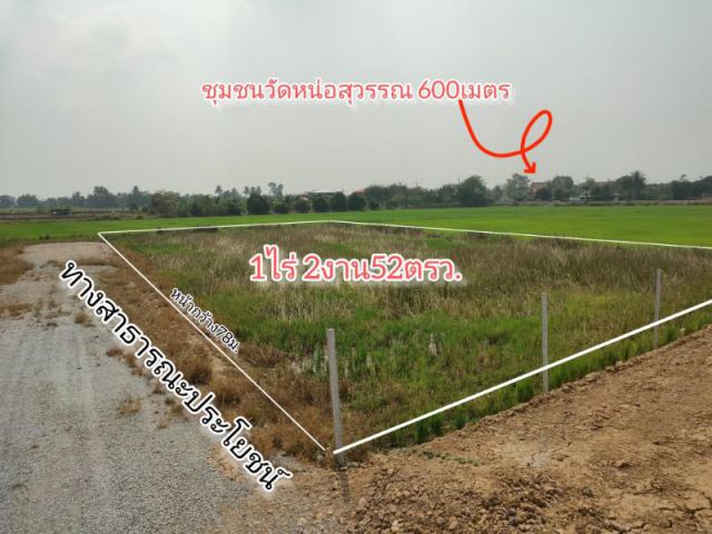 ขายที่ดิน1-2-52ไร่ โคกโคเฒ่า เมืองสุพรรณ