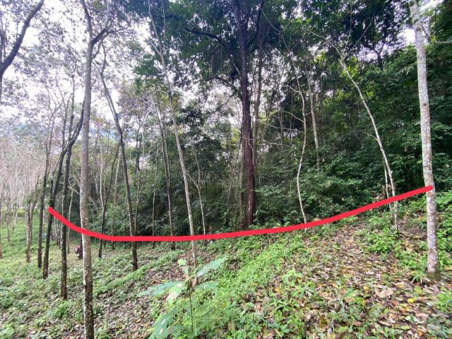 Land for sale , Phang Nga Beautiful island for sale 6 Rais with Chanote