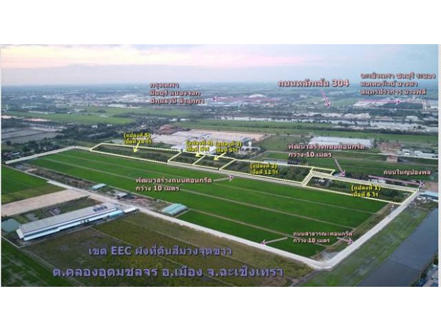 ขายที่ดินเขต EEC ผังม่วง เนื้อที่ 5 – 10 ไร่ หน้ากว้าง   ติดถนนคอนกรีต  อ.เมือง ฉะเชิงเทรา เหมาะทำโรงงาน