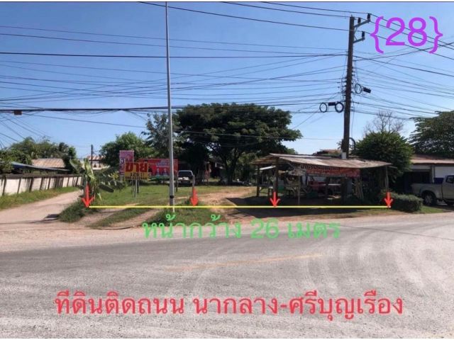 ที่ดิน 200 ตรว. พร้อมบ้านเดี่ยวชั้นเดียวติดถนน นากลาง-ศรีบุญเรือง {28}