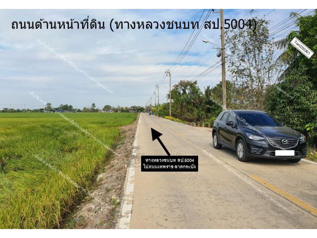 ที่ดิน 37 ไร่ ติดถนนคอนกรีต 2 เลน (สป.5004) ติดคลอง หลังนิคมฯเอเซีย บางบ่อ