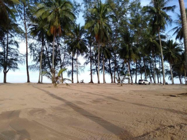 ที่ดินริมทะเล 7ไร่ 21ล้านบาท หาดบางดี ต.เสาเภา อ.สิชล จ.นครศรีธรรมราช