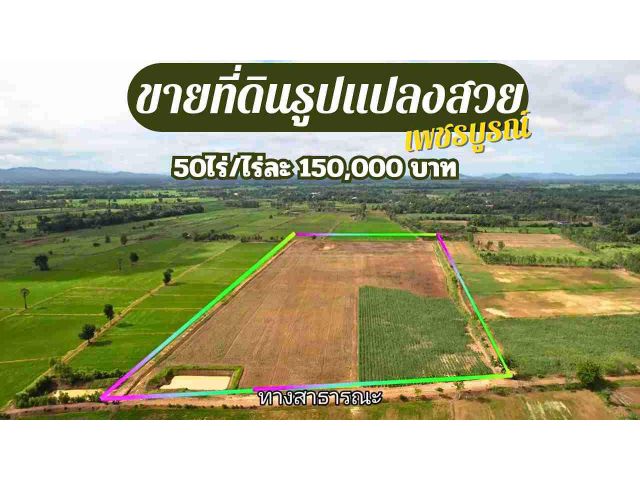 ขายที่ดินรูปแปลงสวย 50 ไร่ อ.หนองไผ่ จ.เพชรบูรณ์/โทร.094-282-6264