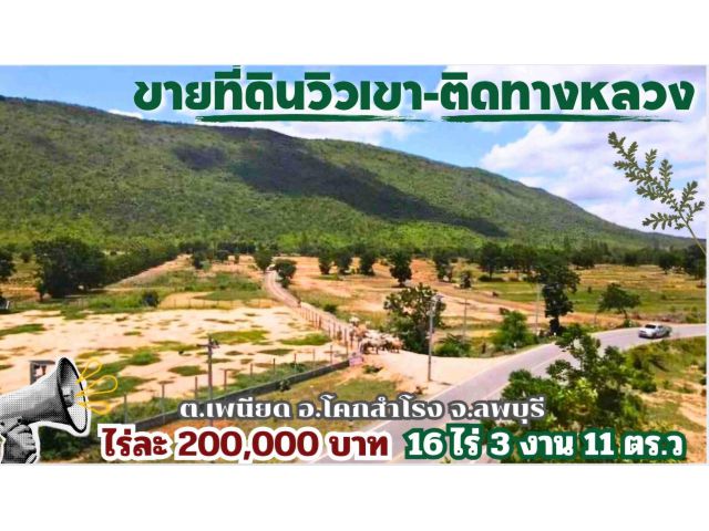 ขายที่ดินวิวเขา-ติดทางหลวงแผ่นดิน(โคกสำโรง,ลพบุรี)/Land for sale with the mountain view.